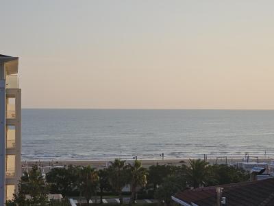 Vista mare al tramonto con palme e edifici.