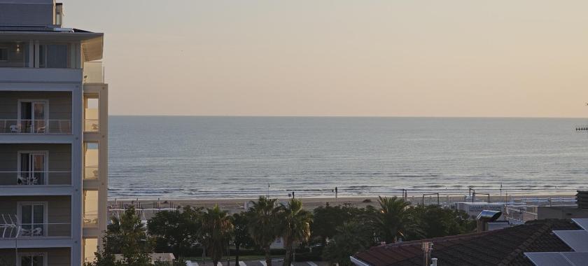 Vista mare al tramonto con palme e edifici.
