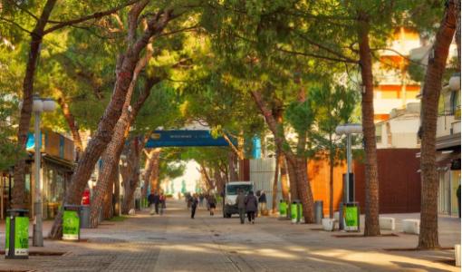 Viale alberato con persone che passeggiano, atmosfera tranquilla e rilassante.